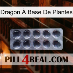 Dragon À Base De Plantes 30